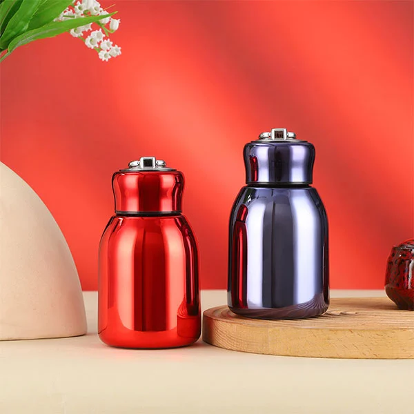 Vacuum-Insulated Original Water Bottles